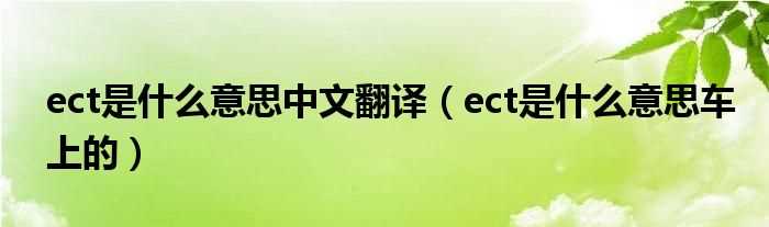 ect是什么意思车上的_ect是什么意思中文翻译?(ect是什么意思)