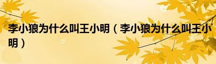 李小狼为什么叫王小明_李小狼为什么叫王小明?(王小明李小狼)