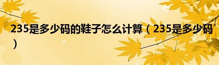 235是多少码_235是多少码的鞋子怎么计算?(235是多少码)