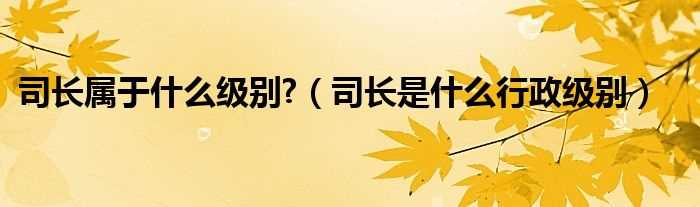 司长是什么行政级别_司长属于什么级别?(司长是什么级别)