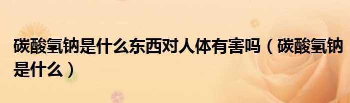 碳酸氢钠是什么_碳酸氢钠是什么东西对人体有害吗?(碳酸氢钠是什么东西)