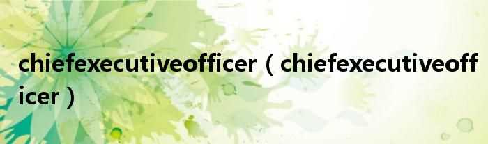 chiefexecutiveofficer_chiefexecutiveofficer(chiefexecutiveofficer)