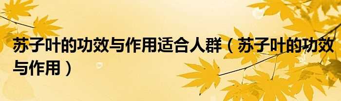 苏子叶的作用与功效_苏子叶的作用与功效适合人群(苏子叶的功效与作用)