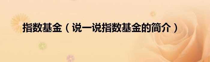 说一说指数基金的简介_指数基金(指数基金)