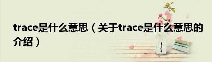 关于trace是什么意思的介绍_trace是什么意思?(trace)