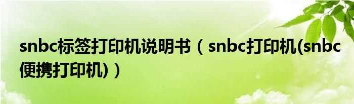 snbc打印机(snbc便携打印机_snbc标签打印机说明书)(snbc打印机)