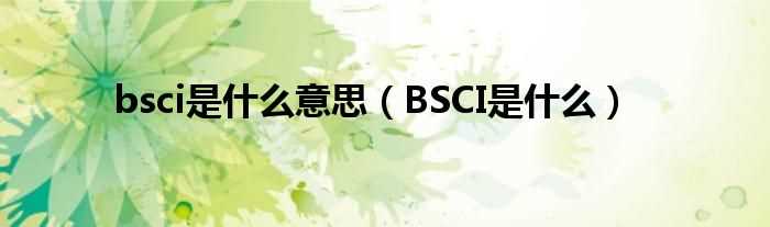 BSCI是什么_bsci是什么意思?(bsci)