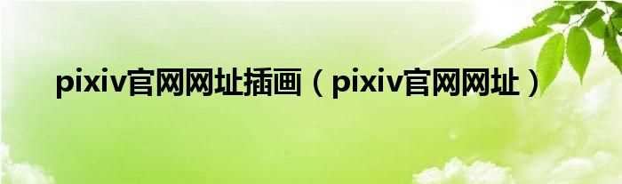 pixiv官网网址_pixiv官网网址插画(pixiv官方网站)