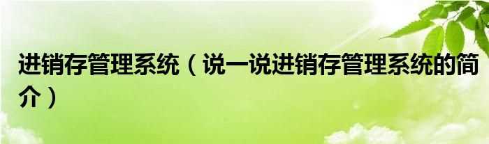 说一说进销存管理系统的简介_进销存管理系统(进销存管理系统)