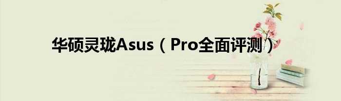 Pro全面评测_华硕灵珑Asus(asus pro)