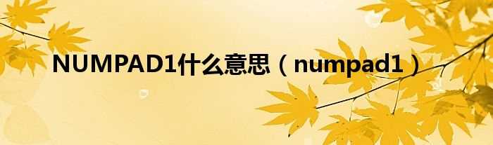 numpad1_NUMPAD1什么意思?(numpad1)