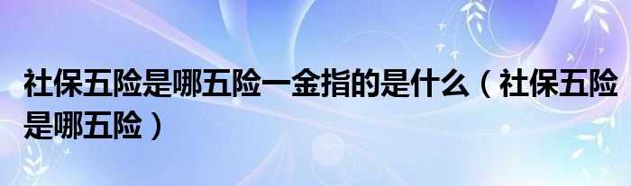 社保五险是哪五险_社保五险是哪五险一金指的是什么?(五险一金是哪五险一金)