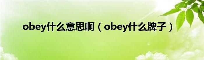 obey什么牌子_obey什么意思啊?(obey)