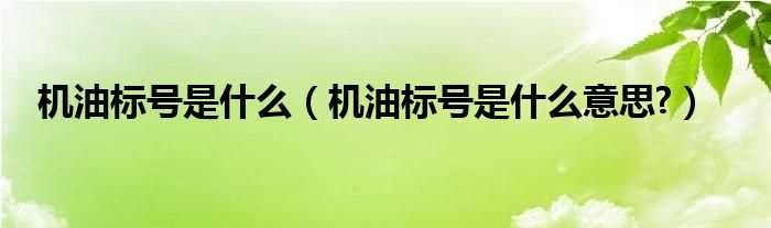 机油标号是什么意思?机油标号是什么?(机油标号)