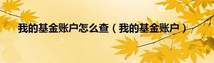 我的基金账户_我的基金账户怎么查?(我的基金账本)