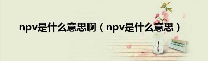 npv是什么意思_npv是什么意思啊?(npv)