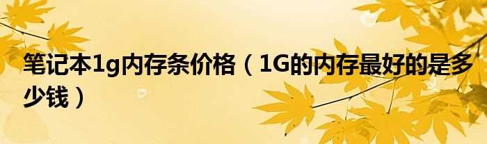 1G的内存最好的是多少钱_笔记本1g内存条价格?(1g内存条)