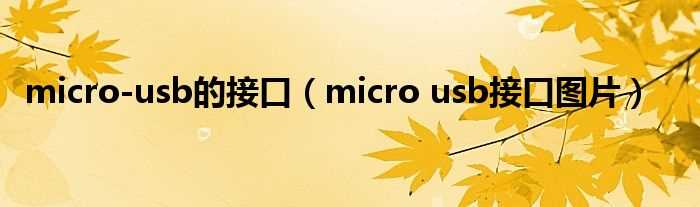 micro_usb接口图片_micro-usb的接口(micro usb)