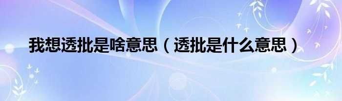 透批是什么意思_我想透批是啥意思?(透批是什么意思)