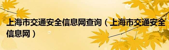 上海市交通安全信息网_上海市交通安全信息网查询(上海交通信息安全网)