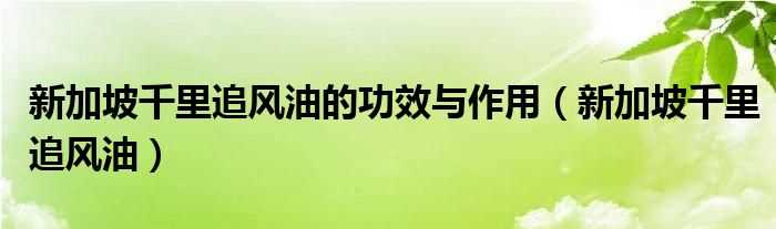 新加坡千里追风油_新加坡千里追风油的作用与功效(新加坡千里追风油)