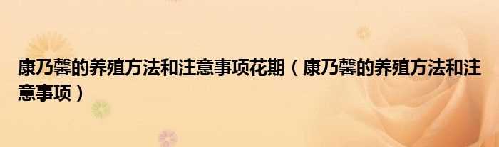 康乃馨的养殖方法和注意事项_康乃馨的养殖方法和注意事项花期(康乃馨)