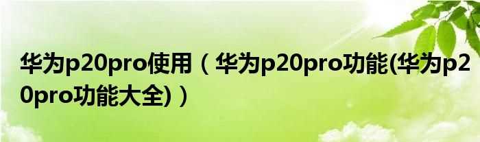 华为p20pro功能(华为p20pro功能大全_华为p20pro使用)(华为p20pro功能)