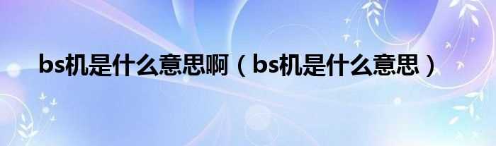 bs机是什么意思_bs机是什么意思啊?(bs机是什么意思)