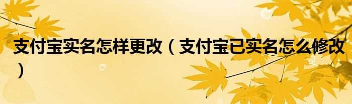 支付宝已实名怎么修改_支付宝实名怎么样更改?(支付宝怎么更换实名认证)