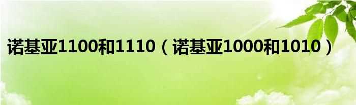 诺基亚1000和1010_诺基亚1100和1110(诺基亚1000和1010)