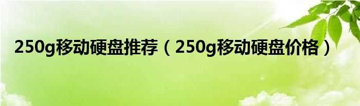 250g移动硬盘价格_250g移动硬盘推荐(250g移动硬盘价格)