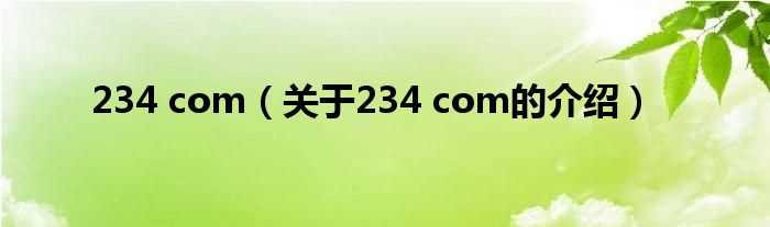 关于234_com的介绍_234_com(234)