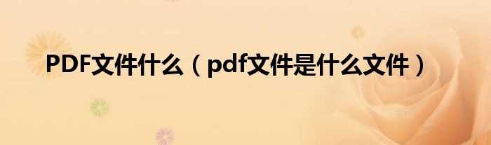 pdf文件是什么文件_PDF文件什么?(pdf文件)