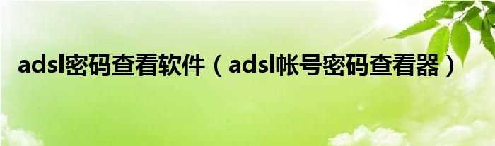 adsl帐号密码查看器_adsl密码查看软件(adsl密码查看器)