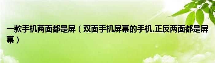 双面手机屏幕的手机_正反两面都是屏幕_一款手机两面都是屏(双面屏幕)