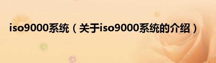 关于iso9000系统的介绍_iso9000系统(iso9000系统)