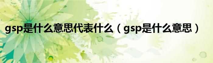 gsp是什么意思_gsp是什么意思代表什么?(gsp)