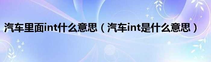 汽车int是什么意思_汽车里面int什么意思?(int)