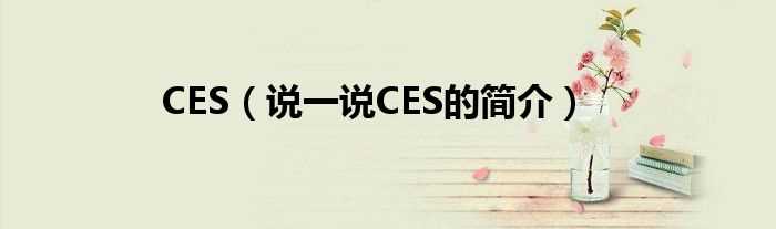 说一说CES的简介_CES(CES)