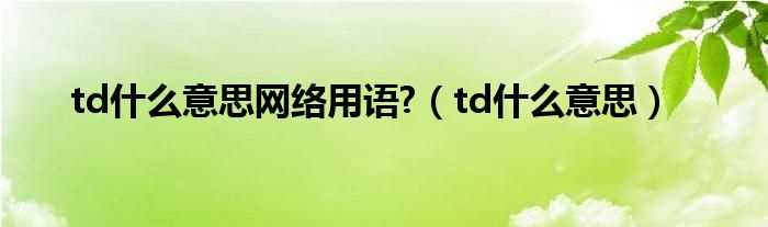 td什么意思_td什么意思网络用语?(td什么意思)