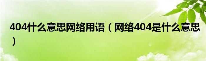 网络404是什么意思_404什么意思网络用语?(404是什么意思网络用语)