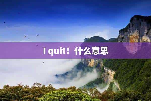 quit！什么意思(i_quit_i_quit)?I