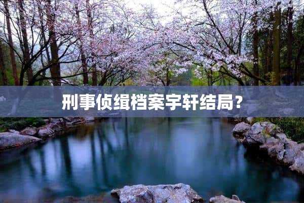 刑事侦缉档案宇轩结局？(刑事侦缉档案1宇轩)