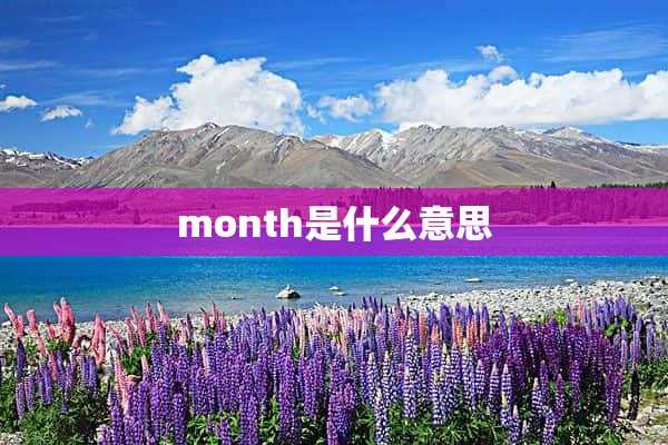 month是什么意思(银行卡month/year是什么意思)?