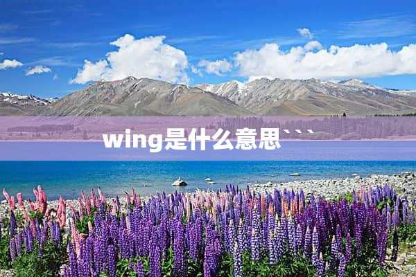 wing是什么意思```(window是什么意思)?