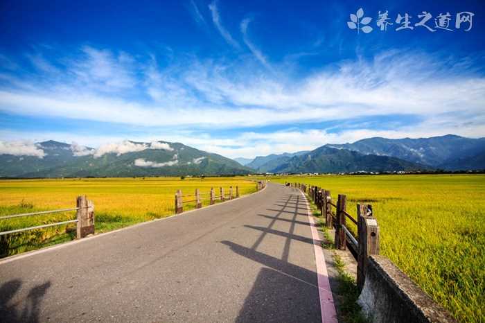 道路交通违法行为怎么处罚?(道路交通违法)