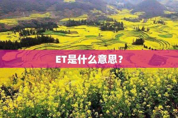 ET是什么意思？(etc是什么意思)?