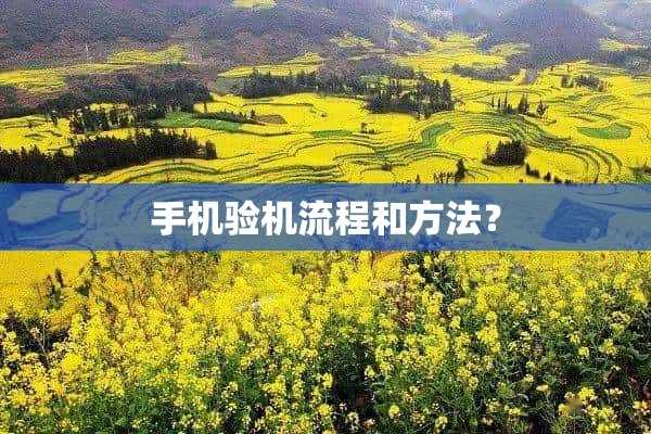 手机验机流程和方法？(手机验机流程和方法图)