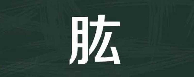 股肱怎么读什么意思(肱怎么读hong)?