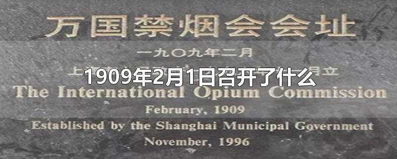 1909年2月1日召开了什么会议(1909年2月1日召开了什么禁毒大会)?